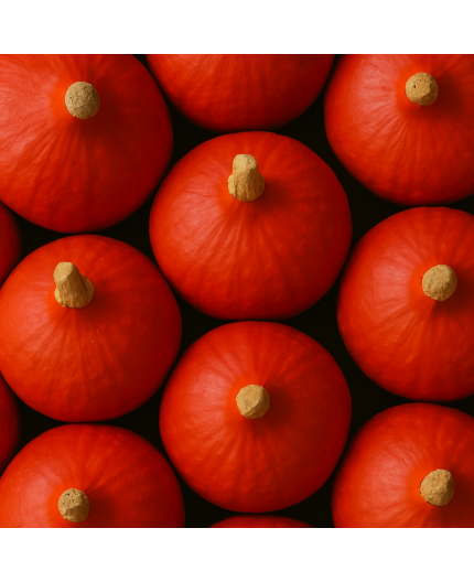 POTIMARRON BIO - DESCLICS PAYSAN, LE GOÛT DU BIO SOLIDAIRE PRÈS DE CHEZ VOUS POTIMARRON BIO - DESCLICS PAYSAN, LE GOÛT DU BIO SOLIDAIRE PRÈS DE CHEZ VOUS