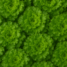 SALADE BIO - DESCLICS PAYSAN, LE GOÛT DU BIO SOLIDAIRE PRÈS DE CHEZ VOUS