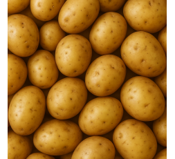 POMME DE TERRE CHAIR TENDRE LOCAL - DESCLICS PAYSAN, LE GOÛT DU BIO SOLIDAIRE PRÈS DE CHEZ VOUS