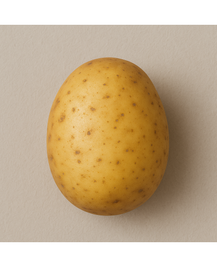 POMME DE TERRE CHAIR TENDRE LOCAL - DESCLICS PAYSAN, LE GOÛT DU BIO SOLIDAIRE PRÈS DE CHEZ VOUS POMME DE TERRE CHAIR TENDRE LOCAL - DESCLICS PAYSAN, LE GOÛT DU BIO SOLIDAIRE PRÈS DE CHEZ VOUS