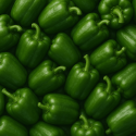 POIVRON VERT BIO - DESCLICS PAYSAN, LE GOÛT DU BIO SOLIDAIRE PRÈS DE CHEZ VOUS