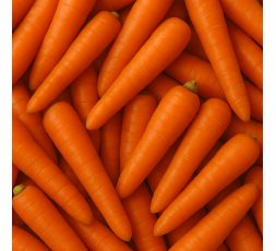 CAROTTE BIO - DESCLICS PAYSAN, LE GOÛT DU BIO SOLIDAIRE PRÈS DE CHEZ VOUS