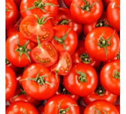 TOMATES RONDES BIO - DESCLICS PAYSAN, LE GOÛT DU BIO SOLIDAIRE PRÈS DE CHEZ VOUS