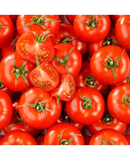 TOMATES RONDES BIO - DESCLICS PAYSAN, LE GOÛT DU BIO SOLIDAIRE PRÈS DE CHEZ VOUS TOMATES RONDES BIO - DESCLICS PAYSAN, LE GOÛT DU BIO SOLIDAIRE PRÈS DE CHEZ VOUS