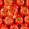 TOMATES RONDES BIO - DESCLICS PAYSAN, LE GOÛT DU BIO SOLIDAIRE PRÈS DE CHEZ VOUS