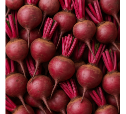 BETTERAVE CRUE BIO - DESCLICS PAYSAN, LE GOÛT DU BIO SOLIDAIRE PRÈS DE CHEZ VOUS