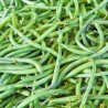 HARICOT VERT BIO - DESCLICS PAYSAN, LE GOÛT DU BIO SOLIDAIRE PRÈS DE CHEZ VOUS