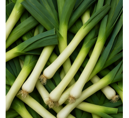 POIREAU BIO - DESCLICS PAYSAN, LE GOÛT DU BIO SOLIDAIRE PRÈS DE CHEZ VOUS