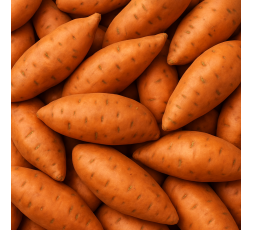 PATATE DOUCE ROSE BIO - DESCLICS PAYSAN, LE GOÛT DU BIO SOLIDAIRE PRÈS DE CHEZ VOUS