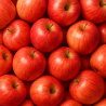 POMME GALA BIO - DESCLICS PAYSAN, LE GOÛT DU BIO SOLIDAIRE PRÈS DE CHEZ VOUS