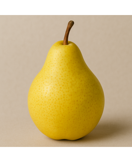 POIRE WILLIAMS BIO - DESCLICS PAYSAN, LE GOÛT DU BIO SOLIDAIRE PRÈS DE CHEZ VOUS POIRE WILLIAMS BIO - DESCLICS PAYSAN, LE GOÛT DU BIO SOLIDAIRE PRÈS DE CHEZ VOUS