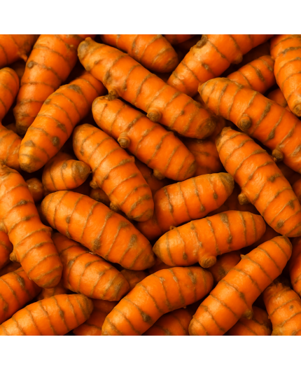 CURCUMA BIO - DESCLICS PAYSAN, LE GOÛT DU BIO SOLIDAIRE PRÈS DE CHEZ VOUS CURCUMA BIO - DESCLICS PAYSAN, LE GOÛT DU BIO SOLIDAIRE PRÈS DE CHEZ VOUS