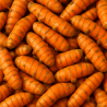 CURCUMA BIO - DESCLICS PAYSAN, LE GOÛT DU BIO SOLIDAIRE PRÈS DE CHEZ VOUS