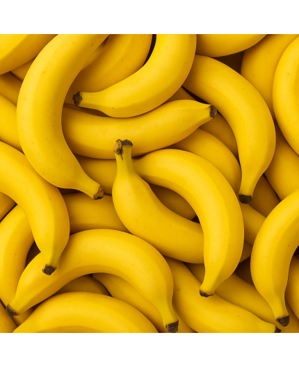 BANANE BIO - DESCLICS PAYSAN, LE GOÛT DU BIO SOLIDAIRE PRÈS DE CHEZ VOUS BANANE BIO - DESCLICS PAYSAN, LE GOÛT DU BIO SOLIDAIRE PRÈS DE CHEZ VOUS