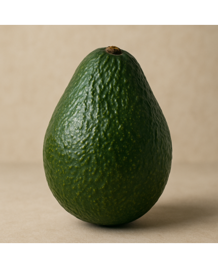 AVOCAT BIO - DESCLICS PAYSAN, LE GOÛT DU BIO SOLIDAIRE PRÈS DE CHEZ VOUS AVOCAT BIO - DESCLICS PAYSAN, LE GOÛT DU BIO SOLIDAIRE PRÈS DE CHEZ VOUS