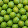 PRUNE REINE CLAUDE BIO - DESCLICS PAYSAN, LE GOÛT DU BIO SOLIDAIRE PRÈS DE CHEZ VOUS