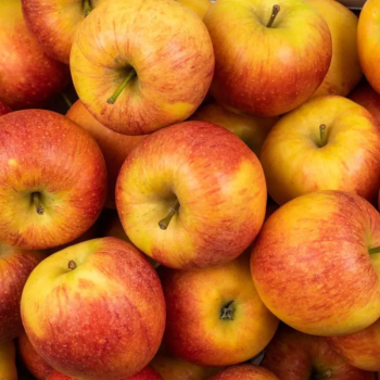 POMME DALICLAS BIO - DESCLICS PAYSAN, LE GOÛT DU BIO SOLIDAIRE PRÈS DE CHEZ VOUS