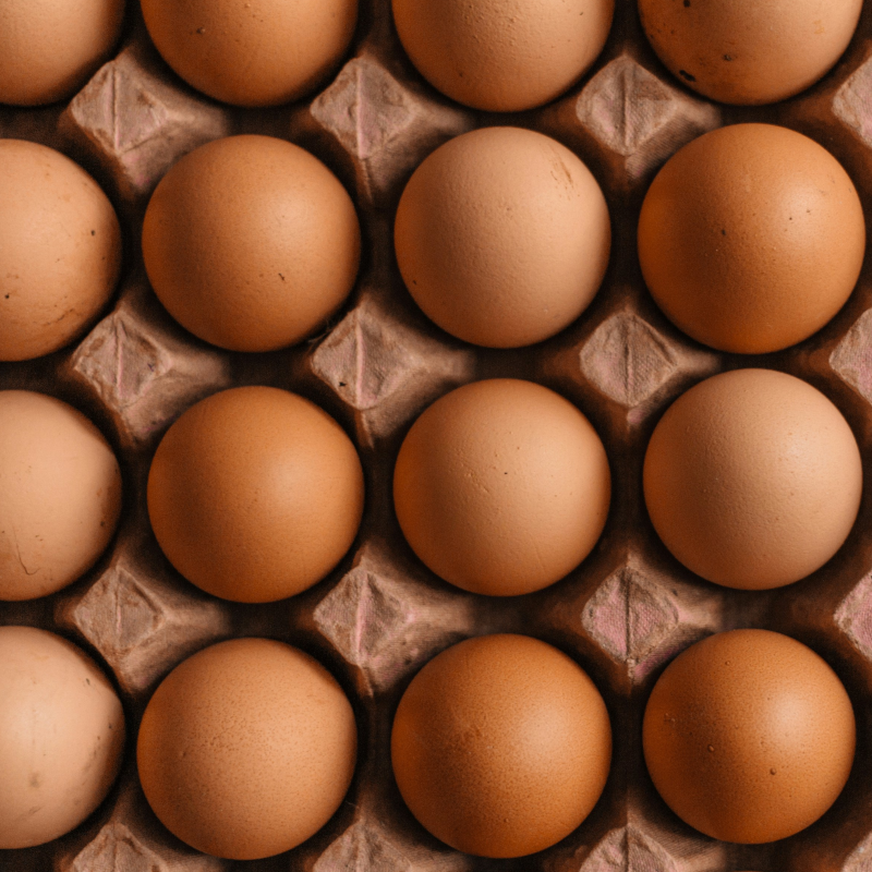 30 OEUFS BIO - DESCLICS PAYSAN, LE GOÛT DU BIO SOLIDAIRE PRÈS DE CHEZ VOUS