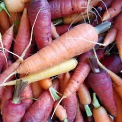 CAROTTE ROUGE BIO - DESCLICS PAYSAN, LE GOÛT DU BIO SOLIDAIRE PRÈS DE CHEZ VOUS
