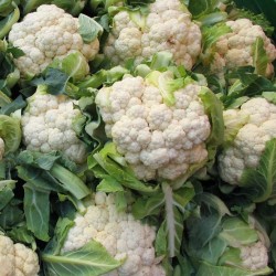 CHOU FLEUR BIO - DESCLICS PAYSAN, LE GOÛT DU BIO SOLIDAIRE PRÈS DE CHEZ VOUS