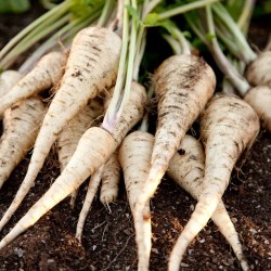 PANAIS BIO - DESCLICS PAYSAN, LE GOÛT DU BIO SOLIDAIRE PRÈS DE CHEZ VOUS