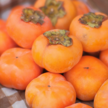 KAKI BIO - DESCLICS PAYSAN, LE GOÛT DU BIO SOLIDAIRE PRÈS DE CHEZ VOUS