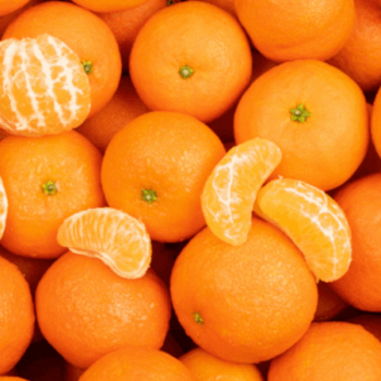 CLÉMENTINE BIO - DESCLICS PAYSAN, LE GOÛT DU BIO SOLIDAIRE PRÈS DE CHEZ VOUS