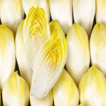 ENDIVE LOCAL - DESCLICS PAYSAN, LE GOÛT DU BIO SOLIDAIRE PRÈS DE CHEZ VOUS