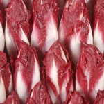 ENDIVE ROUGE LOCAL - DESCLICS PAYSAN, LE GOÛT DU BIO SOLIDAIRE PRÈS DE CHEZ VOUS ENDIVE ROUGE LOCAL - DESCLICS PAYSAN, LE GOÛT DU BIO SOLIDAIRE PRÈS DE CHEZ VOUS