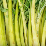 CARDON BIO - DESCLICS PAYSAN, LE GOÛT DU BIO SOLIDAIRE PRÈS DE CHEZ VOUS CARDON BIO - DESCLICS PAYSAN, LE GOÛT DU BIO SOLIDAIRE PRÈS DE CHEZ VOUS