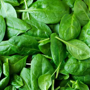 ÉPINARD LOCAL - DESCLICS PAYSAN, LE GOÛT DU BIO SOLIDAIRE PRÈS DE CHEZ VOUS