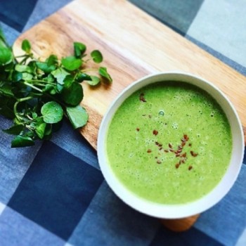 VELOUTÉ CRESSON BIO - DESCLICS PAYSAN, LE GOÛT DU BIO SOLIDAIRE PRÈS DE CHEZ VOUS