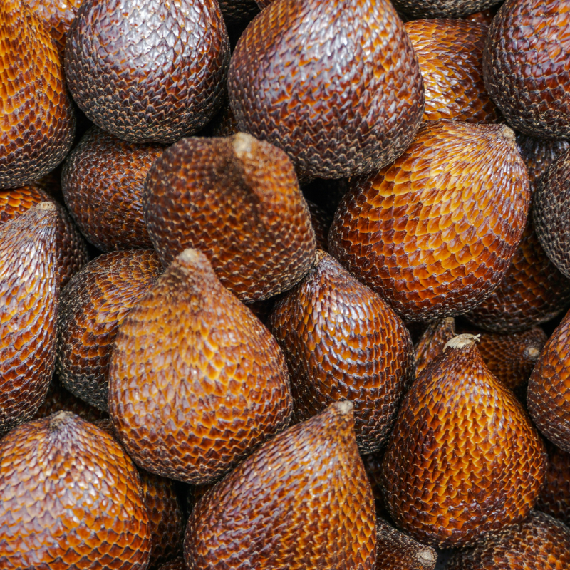 SALAK BIO - DESCLICS PAYSAN, LE GOÛT DU BIO SOLIDAIRE PRÈS DE CHEZ VOUS