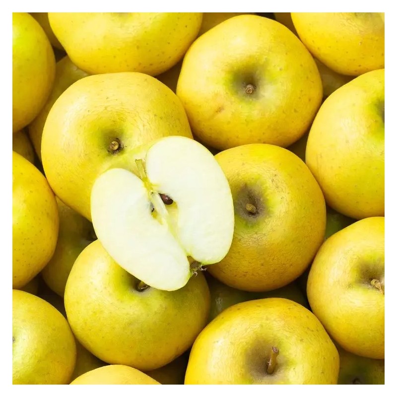 POMME CHANTECLERC BIO - DESCLICS PAYSAN, LE GOÛT DU BIO SOLIDAIRE PRÈS DE CHEZ VOUS