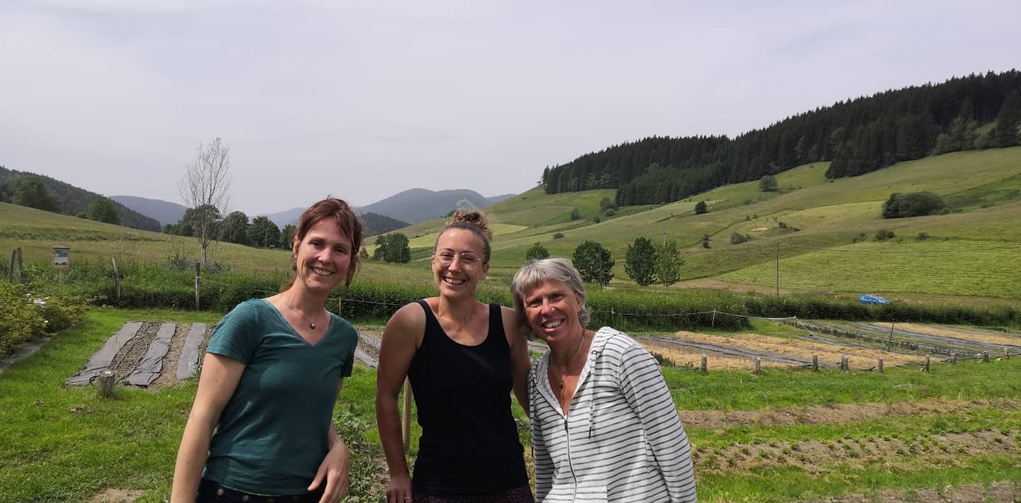 LE CHEMIN DES SAISONS