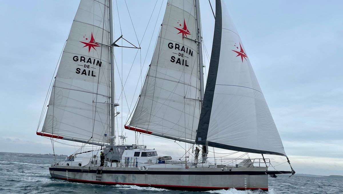 GRAIN DE SAIL