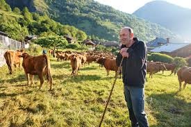 COOPERATIVE LAITIERE DE HAUTE TARENTAISE