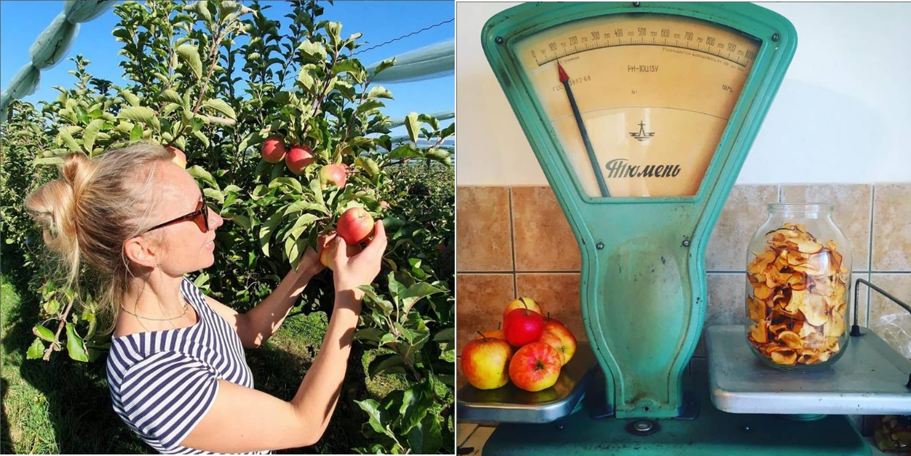 MILU POMME