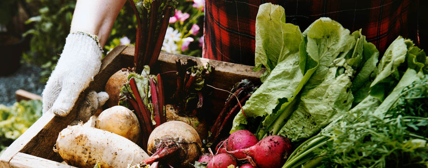 COLLECTE PRODUCTEURS