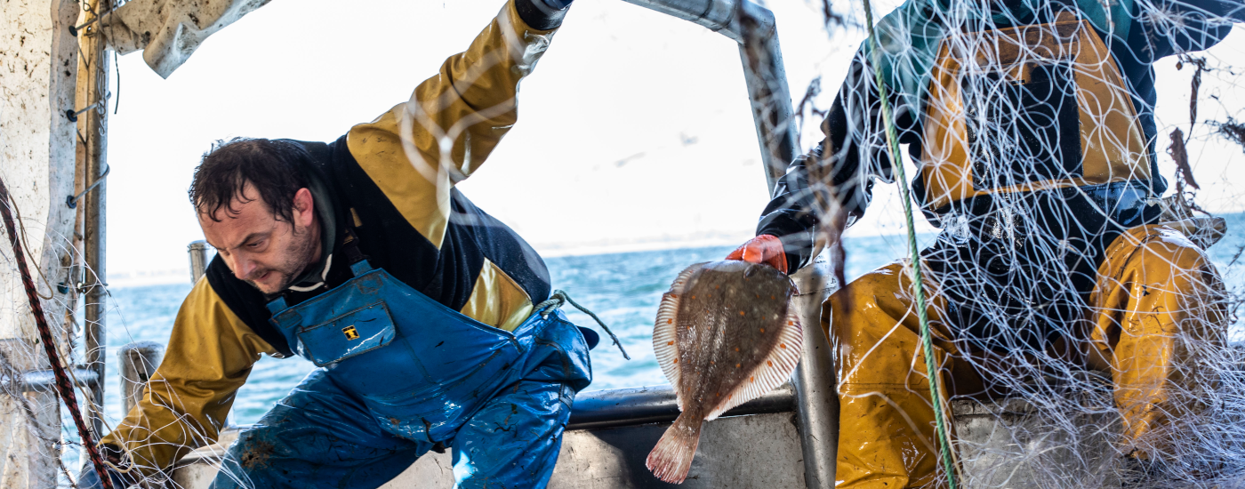 DU POISSON DE LA MER